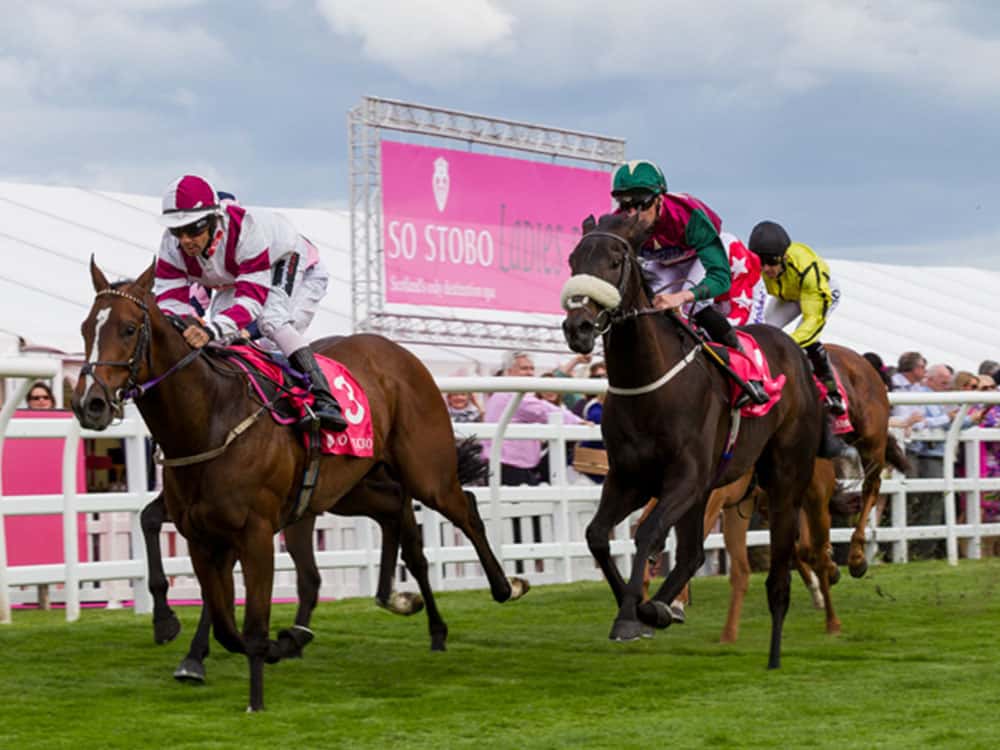 Image of horses racing at Musselburgh Racecourse, an events venue located near Edinburgh