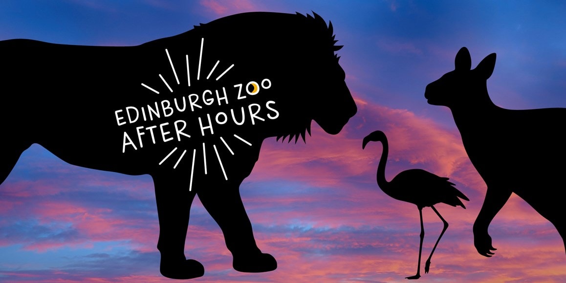 Silhouette of animals to promote Edinburgh Zoo's after dark events